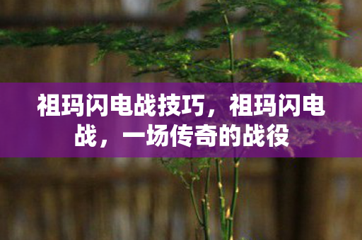 祖玛闪电战技巧，祖玛闪电战，一场传奇的战役