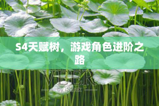 S4天赋树,游戏角色进阶之路 S4天赋树,游戏角色进阶之路