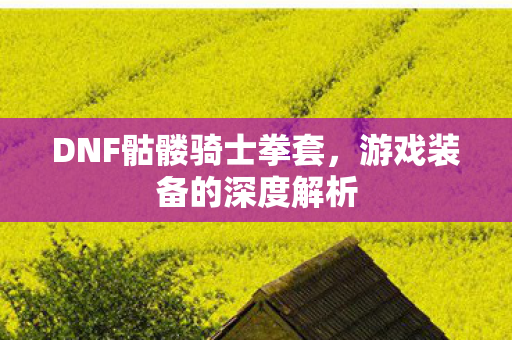 DNF骷髅骑士拳套，游戏装备的深度解析