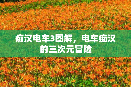 痴汉电车3图解，电车痴汉的三次元冒险