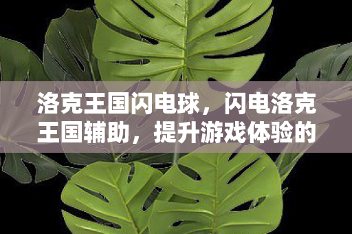 洛克王国闪电球，闪电洛克王国辅助，提升游戏体验的得力助手