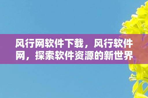 风行网软件下载，风行软件网，探索软件资源的新世界