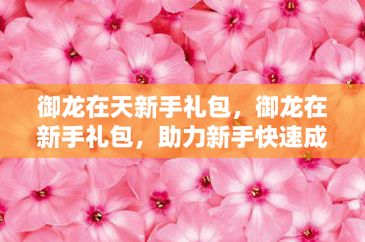 御龙在天新手礼包，御龙在新手礼包，助力新手快速成长