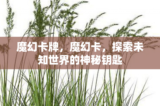 魔幻卡牌，魔幻卡，探索未知世界的神秘钥匙