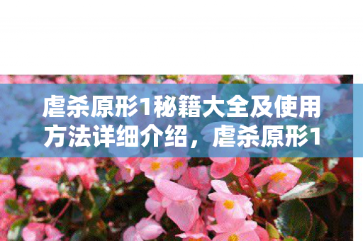 虐杀原形1秘籍大全及使用方法详细介绍，虐杀原形1，解锁隐藏技能与高效战斗策略