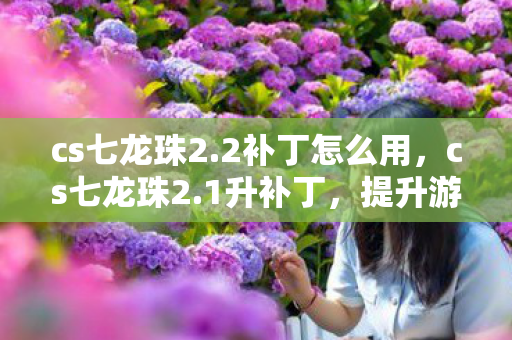 cs七龙珠2.2补丁怎么用，cs七龙珠2.1升补丁，提升游戏体验的必备神器