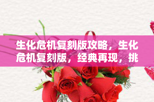 生化危机复刻版攻略，生化危机复刻版，经典再现，挑战与回忆并存