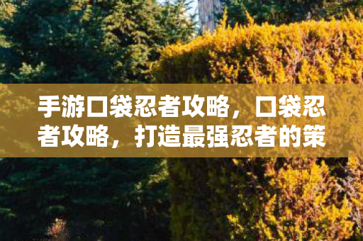 手游口袋忍者攻略，口袋忍者攻略，打造最强忍者的策略指南