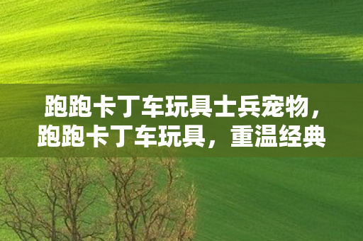 跑跑卡丁车玩具士兵宠物，跑跑卡丁车玩具，重温经典，快乐无限