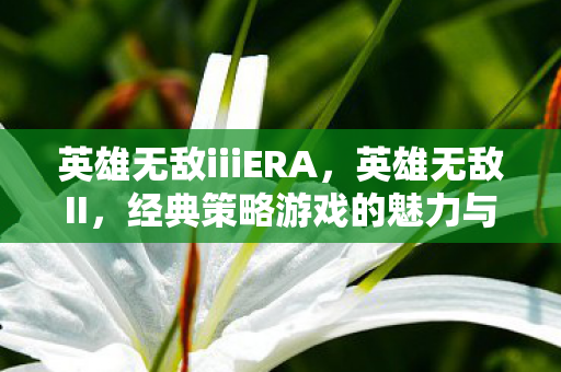英雄无敌iiiERA，英雄无敌II，经典策略游戏的魅力与影响