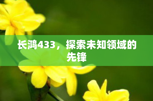 长鸿433，探索未知领域的先锋