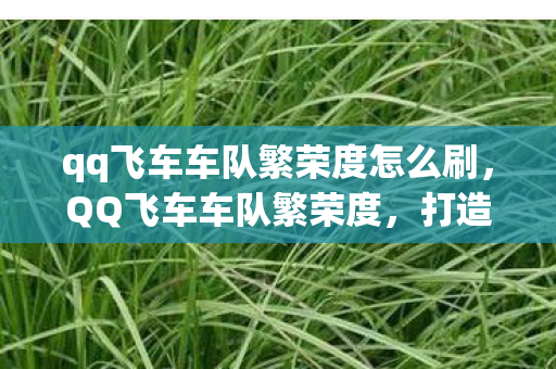 qq飞车车队繁荣度怎么刷，QQ飞车车队繁荣度，打造你的专属荣耀