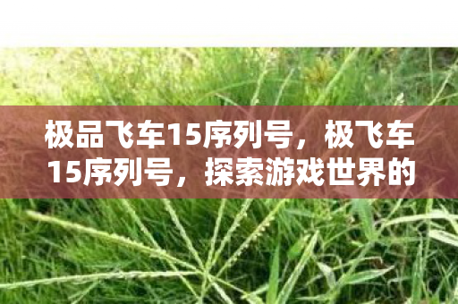 极品飞车15序列号，极飞车15序列号，探索游戏世界的钥匙