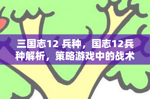 三国志12 兵种，国志12兵种解析，策略游戏中的战术精髓