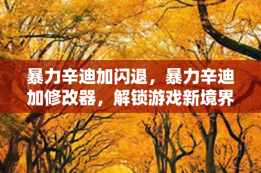 暴力辛迪加闪退，暴力辛迪加修改器，解锁游戏新境界的神奇工具