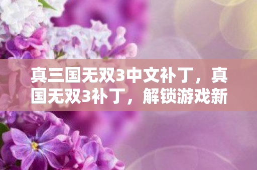 真三国无双3中文补丁，真国无双3补丁，解锁游戏新体验，打造个性化战场