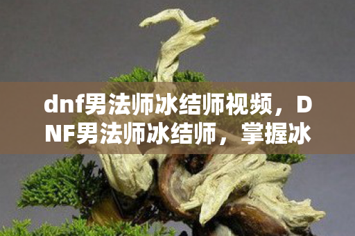 dnf男法师冰结师视频，DNF男法师冰结师，掌握冰封之力的战斗法师