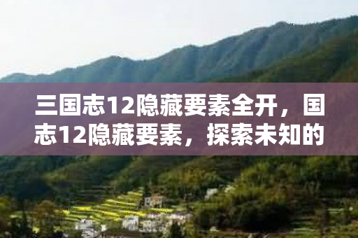 三国志12隐藏要素全开，国志12隐藏要素，探索未知的战略深度