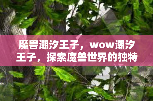 魔兽潮汐王子，wow潮汐王子，探索魔兽世界的独特魅力与无限可能