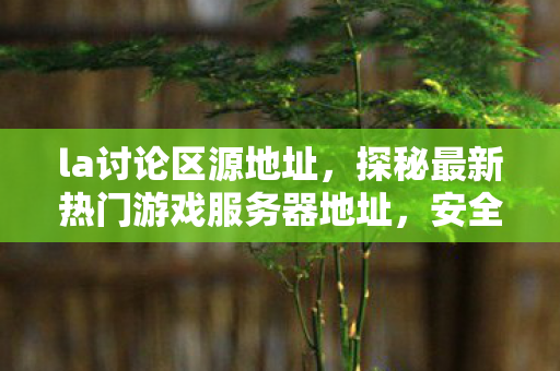 la讨论区源地址，探秘最新热门游戏服务器地址，安全与效率的双重考量