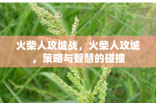 火柴人攻城战，火柴人攻城，策略与智慧的碰撞
