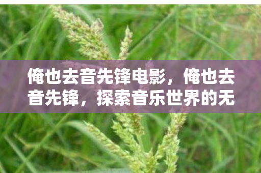 俺也去音先锋电影，俺也去音先锋，探索音乐世界的无限可能