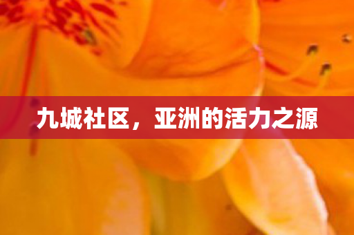 九城社区,亚洲的活力之源 九城社区,亚洲的活力之源