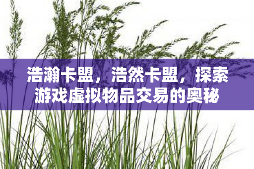 浩瀚卡盟，浩然卡盟，探索游戏虚拟物品交易的奥秘