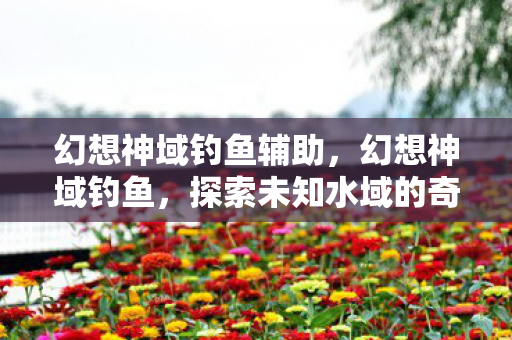 幻想神域钓鱼辅助，幻想神域钓鱼，探索未知水域的奇妙之旅