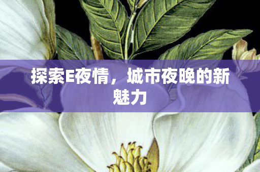 探索E夜情，城市夜晚的新魅力