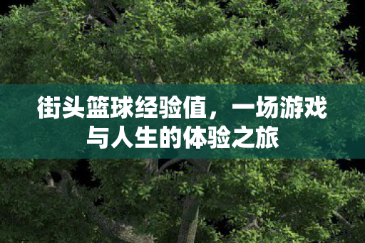 街头篮球经验值，一场游戏与人生的体验之旅