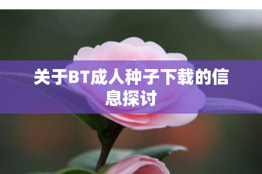 关于BT成人种子下载的信息探讨