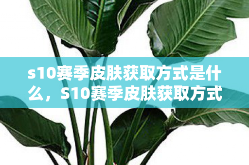 s10赛季皮肤获取方式是什么，S10赛季皮肤获取方式详解