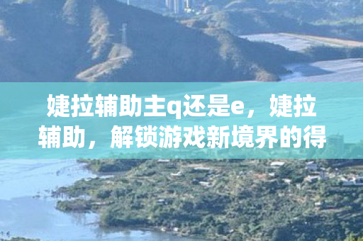 婕拉辅助主q还是e，婕拉辅助，解锁游戏新境界的得力助手