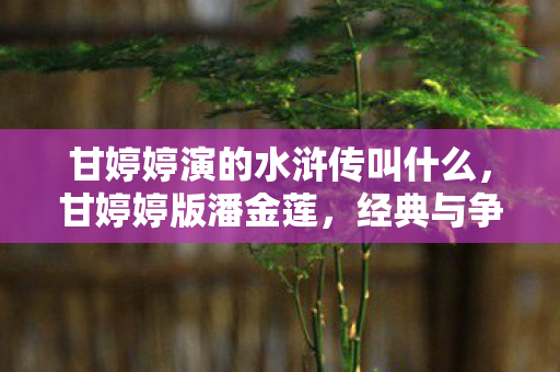 甘婷婷演的水浒传叫什么，甘婷婷版潘金莲，经典与争议并存的荧幕形象