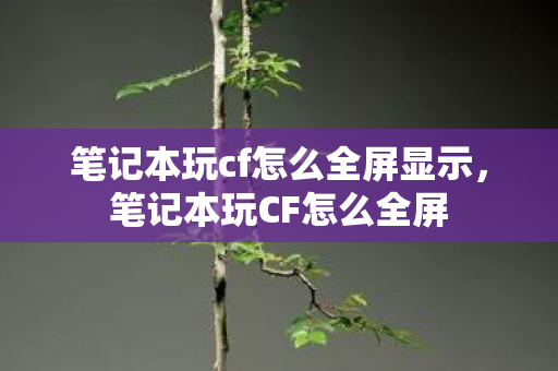 笔记本玩cf怎么全屏显示，笔记本玩CF怎么全屏