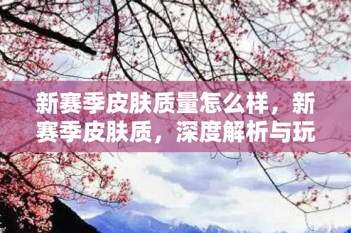 新赛季皮肤质量怎么样，新赛季皮肤质，深度解析与玩家期待