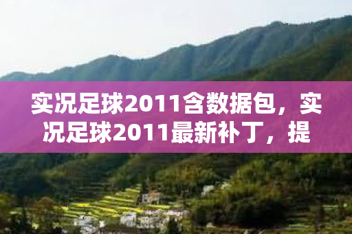实况足球2011含数据包，实况足球2011最新补丁，提升游戏体验的必备利器