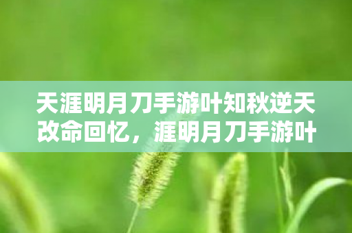 天涯明月刀手游叶知秋逆天改命回忆，涯明月刀手游叶知秋逆改命，挑战命运的武侠之旅