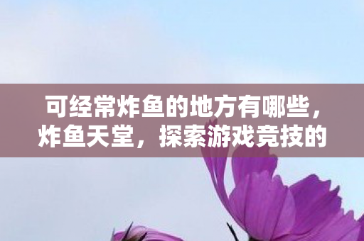可经常炸鱼的地方有哪些，炸鱼天堂，探索游戏竞技的另类战场
