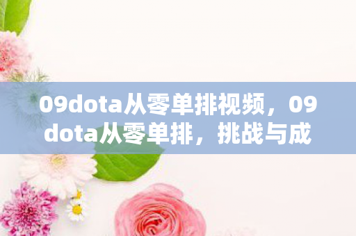 09dota从零单排视频，09dota从零单排，挑战与成长并存的DOTA之旅