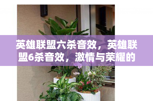 英雄联盟六杀音效，英雄联盟6杀音效，激情与荣耀的交响