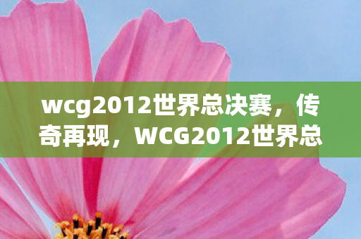 wcg2012世界总决赛，传奇再现，WCG2012世界总决赛DOTA的荣耀时刻