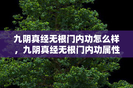 九阴真经无根门内功怎么样，九阴真经无根门内功属性解析