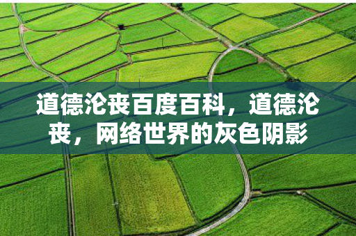 道德沦丧百度百科，道德沦丧，网络世界的灰色阴影