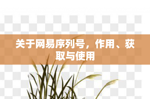 关于网易序列号，作用、获取与使用