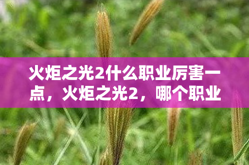 火炬之光2什么职业厉害一点，火炬之光2，哪个职业最厉害？