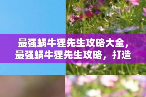 最强蜗牛狸先生攻略大全，最强蜗牛狸先生攻略，打造顶级蜗牛的全面指南