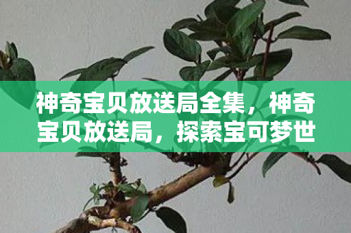 神奇宝贝放送局全集，神奇宝贝放送局，探索宝可梦世界的奇妙之旅