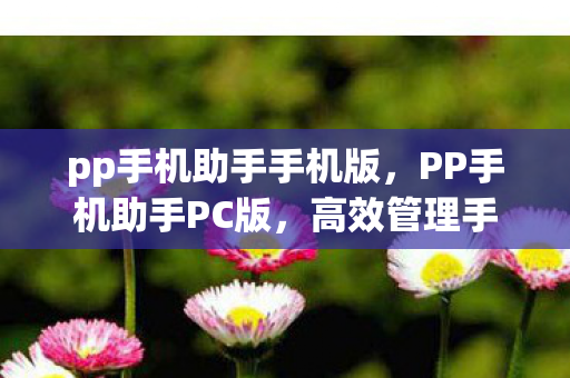 pp手机助手手机版，PP手机助手PC版，高效管理手机内容的得力助手